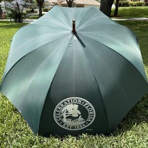 Vintage DISNEY Umbrella Large Size Celebration Florida 1994 Rare Green Golf Size